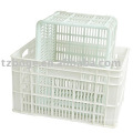 storage box mould/injection mould